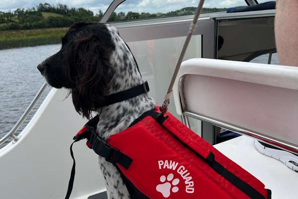 Shannon Boat Hire Gallery - First Mate!