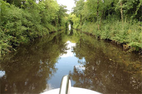 Cruising the Lough Allen Canal