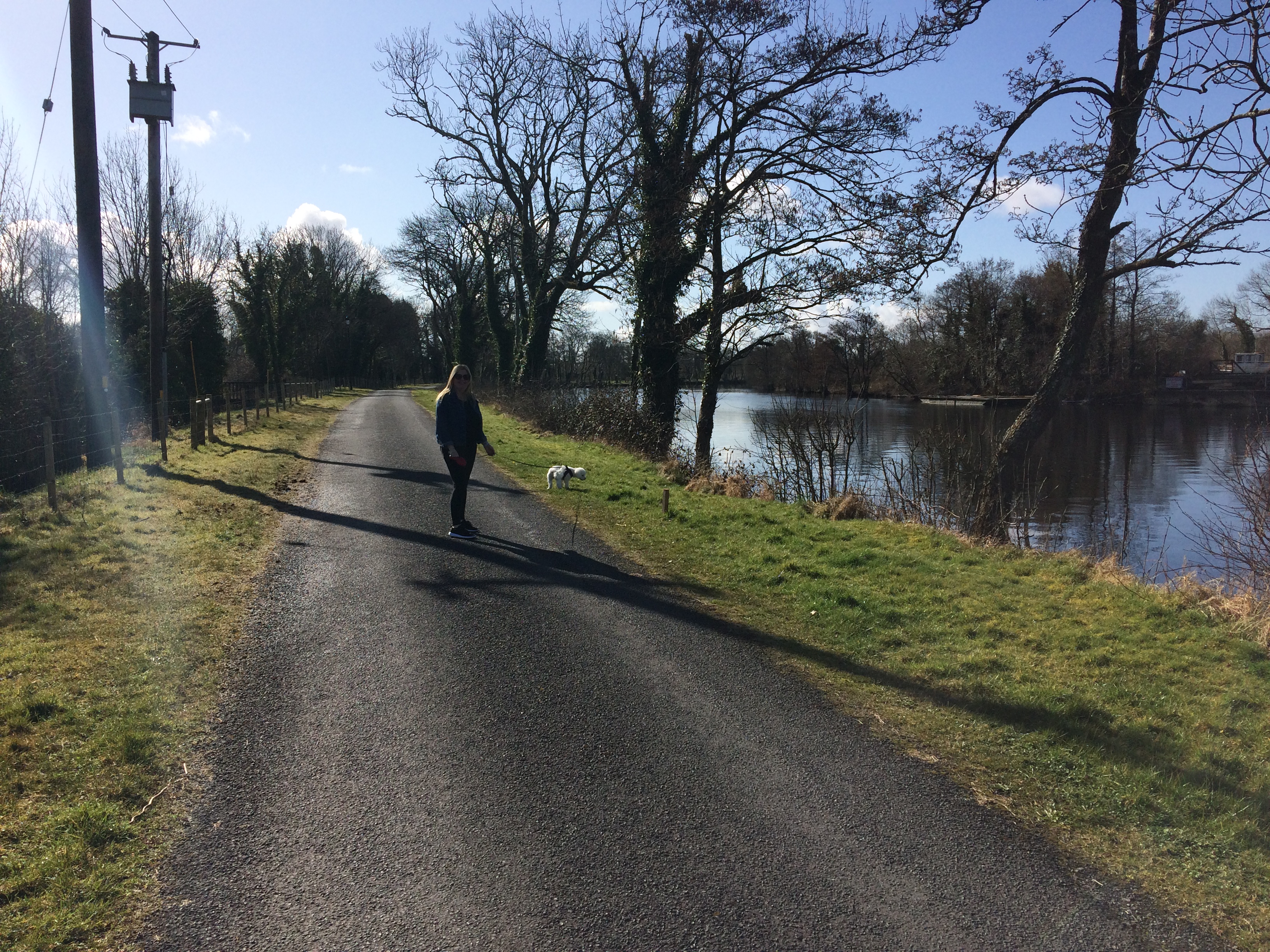 Best Walks near the Shannon