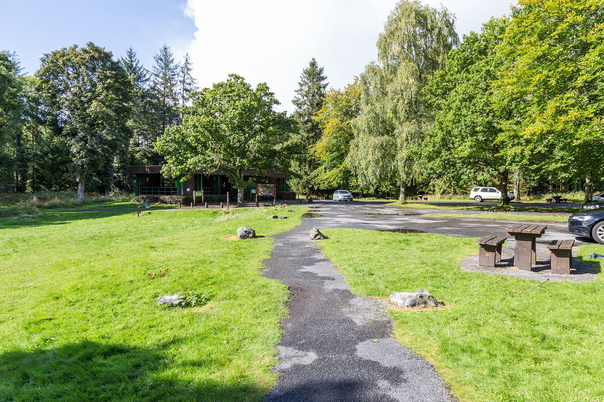 A walking trail through Portumna Forest Park.